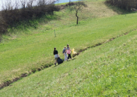 IMG_20230323_120956